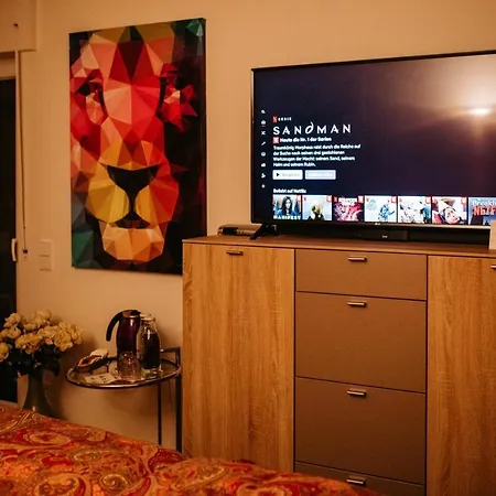 Modernes Und Gemuetliches Designerzimmer Pansiyon